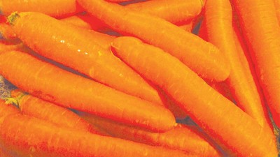 Carrots