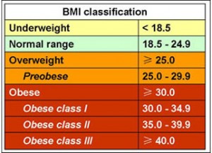BMI-300x216