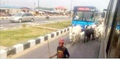 BRT-Fulani