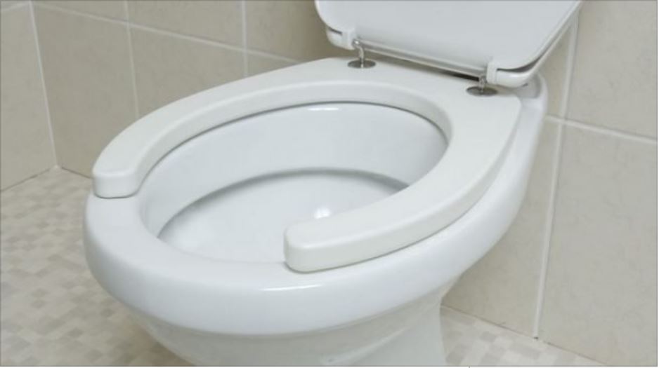 How Can Snakes Get Into Toilet Bowls? By Nsikan Abasi Utuk - News ...