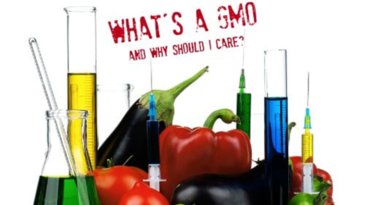 Addressing effects of GMOs By Stanley Akpunonu - News & Analysis